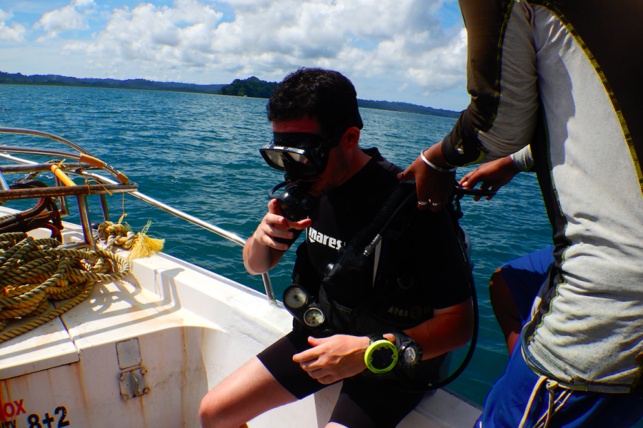 Scuba Diving (Boat Diving), Havelock