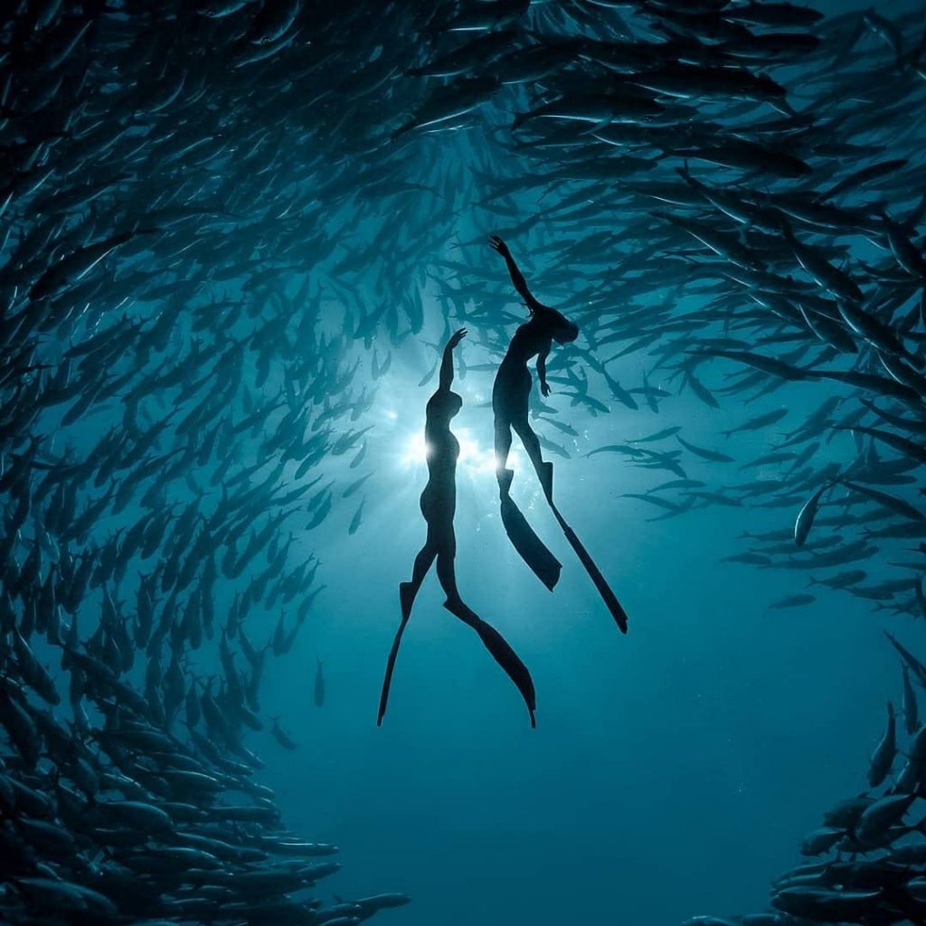 Scuba Diving with Fish circle