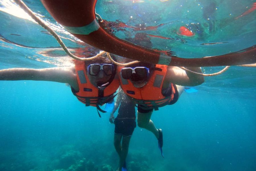 Snorkeling at Elephanta Beach, (Havelock Island)