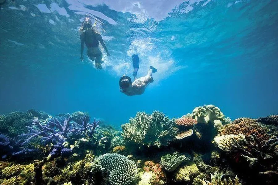 Snorkeling, North Bay Island (Port Blair)