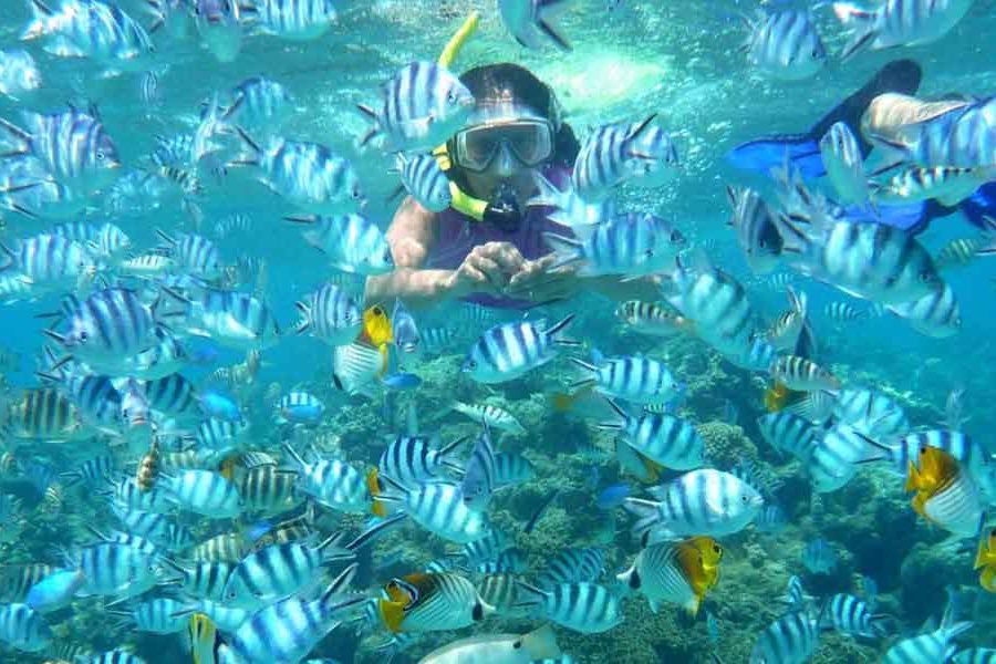 Snorkeling- Bharatpur Beach (Neil Island)