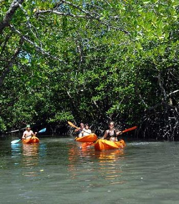 kayak_image_havelock_1