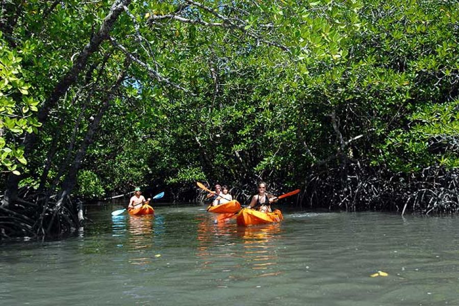 Kayaking, Mangroove Ride, Havelock Island