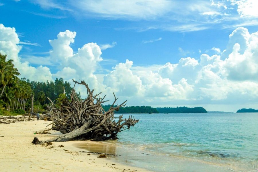 Wandoor Beach, Port Blair