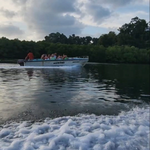 Enjoy The Mangrove ride