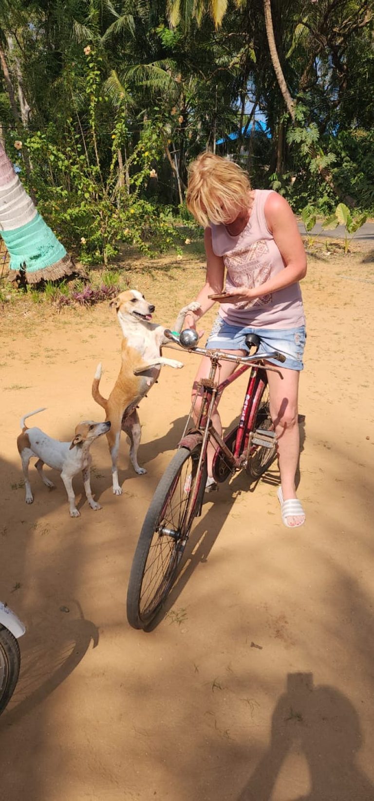 Cycle trip in Neil