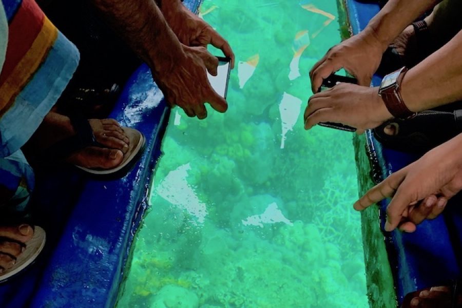 Glass Bottom Boat Ride, Neil Island (Bharatpur Beach)